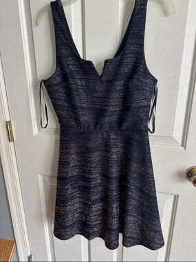 Trixxi Navy Dress with Silver Metallic Stripes